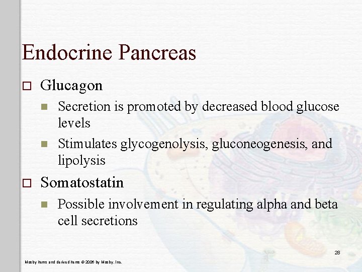 Endocrine Pancreas o Glucagon n n o Secretion is promoted by decreased blood glucose