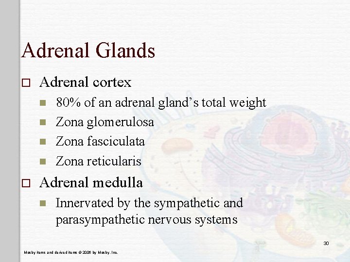 Adrenal Glands o Adrenal cortex n n o 80% of an adrenal gland’s total