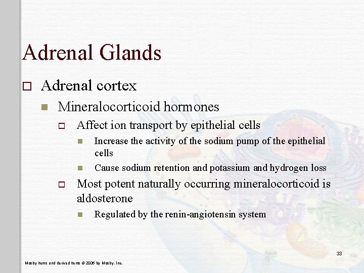 Adrenal Glands o Adrenal cortex n Mineralocorticoid hormones o Affect ion transport by epithelial