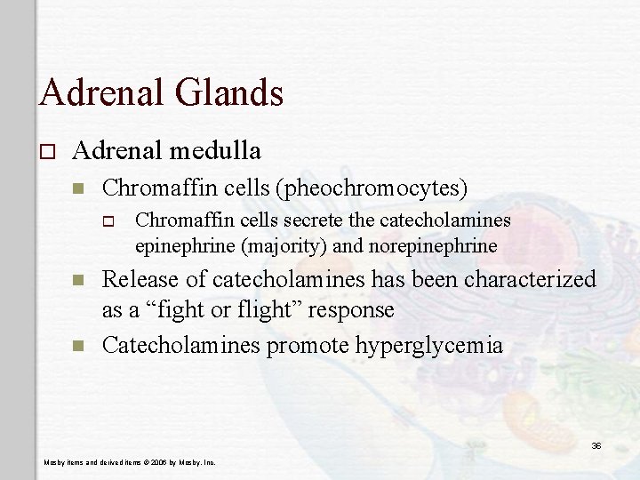 Adrenal Glands o Adrenal medulla n Chromaffin cells (pheochromocytes) o n n Chromaffin cells