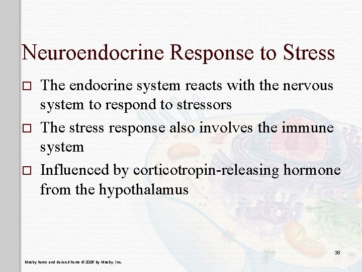 Neuroendocrine Response to Stress o o o The endocrine system reacts with the nervous