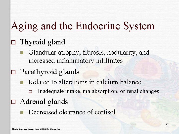 Aging and the Endocrine System o Thyroid gland n o Glandular atrophy, fibrosis, nodularity,