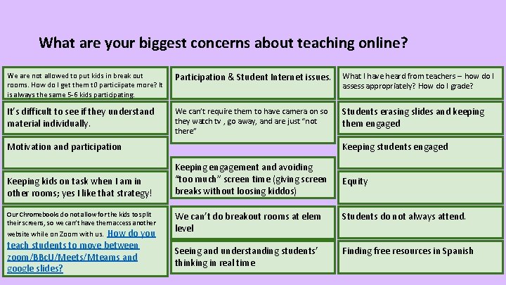 What are your biggest concerns about teaching online? We are not allowed to put