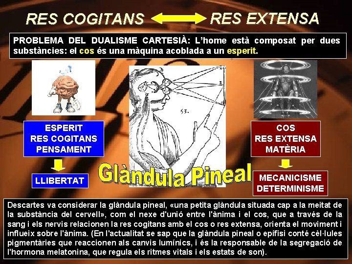 RES COGITANS RES EXTENSA PROBLEMA DEL DUALISME CARTESIÀ: L’home està composat per dues substàncies: