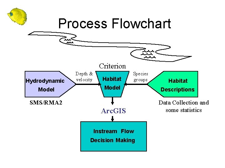 Process Flowchart Criterion Hydrodynamic Model Depth & velocity Habitat Species groups Model SMS/RMA 2