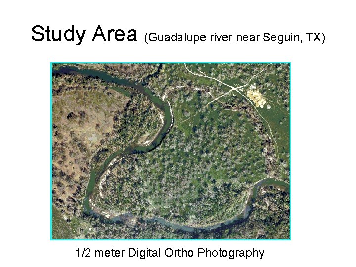 Study Area (Guadalupe river near Seguin, TX) 1/2 meter Digital Ortho Photography 