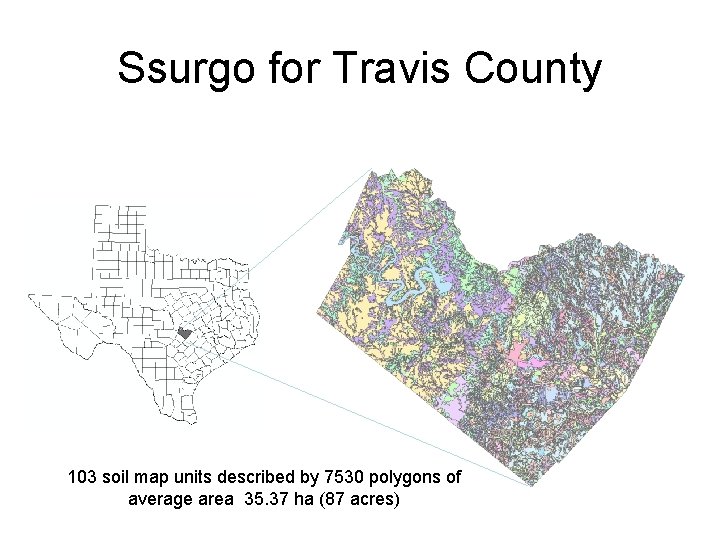 Ssurgo for Travis County 103 soil map units described by 7530 polygons of average