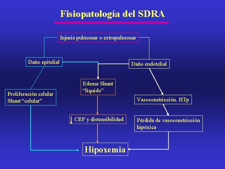 Fisiopatología del SDRA Injuria pulmonar o extrapulmonar Daño epitelial Proliferación celular Shunt “celular” Daño Fisiopatología del SDRA Injuria pulmonar o extrapulmonar Daño epitelial Proliferación celular Shunt “celular” Daño