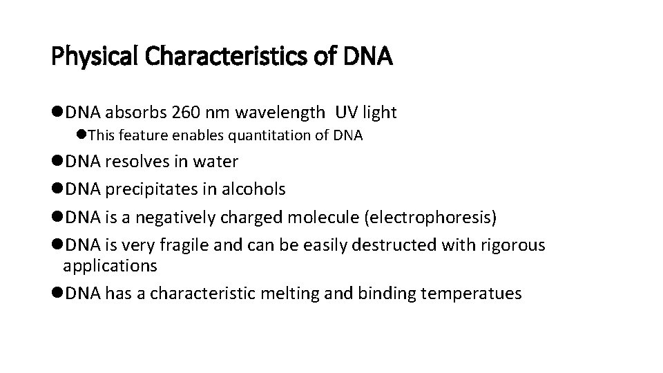 Physical Characteristics of DNA l. DNA absorbs 260 nm wavelength UV light l. This