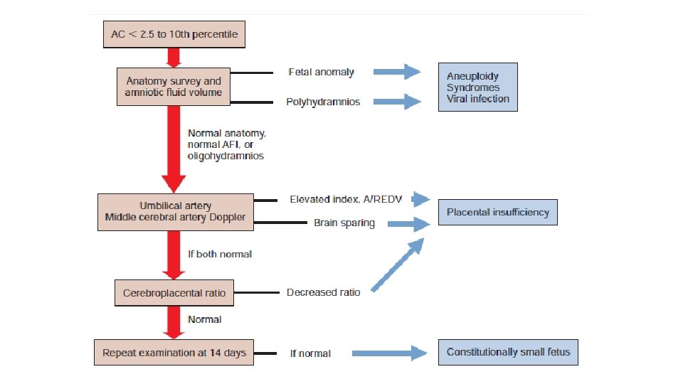 INTRAUTERINE GROWTH RESTRICTION IUGR Seluk zden MD Prof