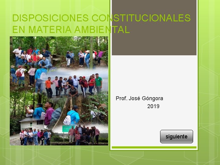 DISPOSICIONES CONSTITUCIONALES EN MATERIA AMBIENTAL Prof. José Góngora 2019 siguiente 
