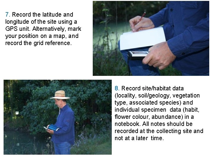 7. Record the latitude and longitude of the site using a GPS unit. Alternatively,