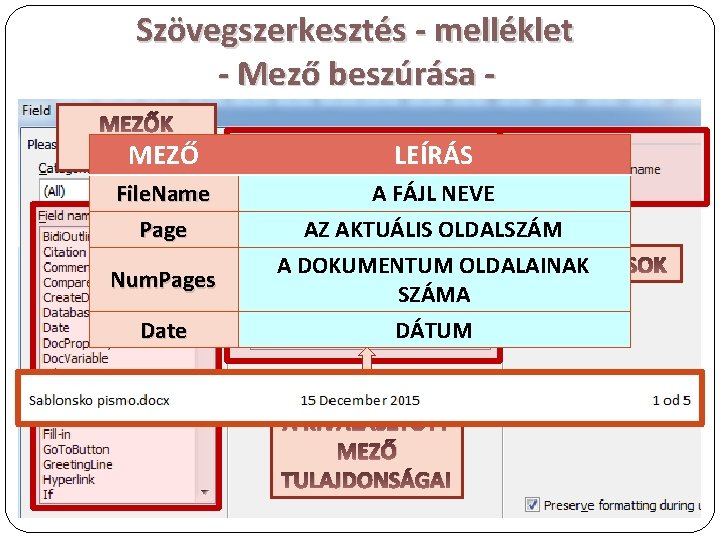 Szövegszerkesztés - melléklet - Mező beszúrása MEZŐK LISTÁJA MEZŐ File. Name Insert Page →