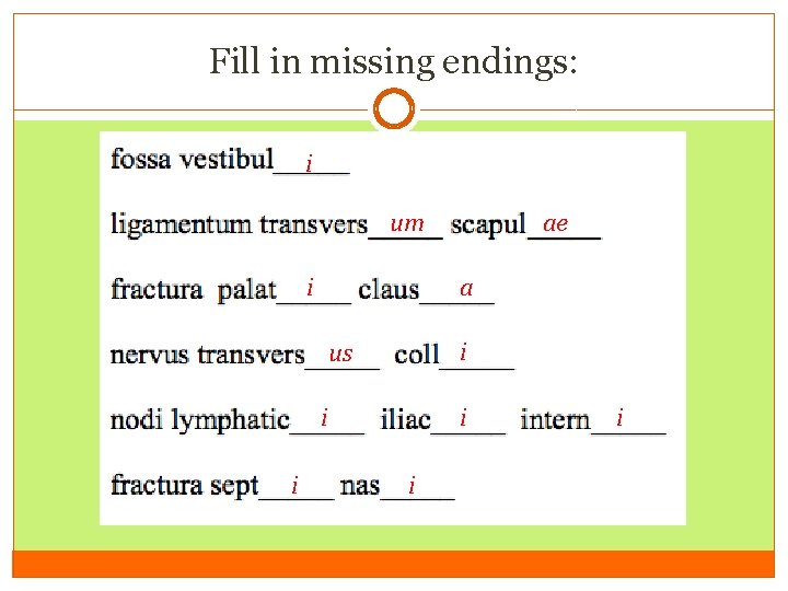 Fill in missing endings: i um i a i us i i ae i Fill in missing endings: i um i a i us i i ae i