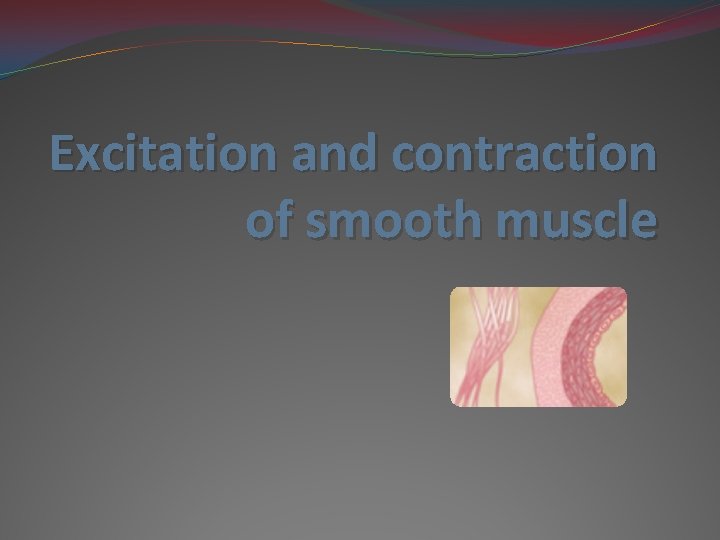 Excitation and contraction of smooth muscle 