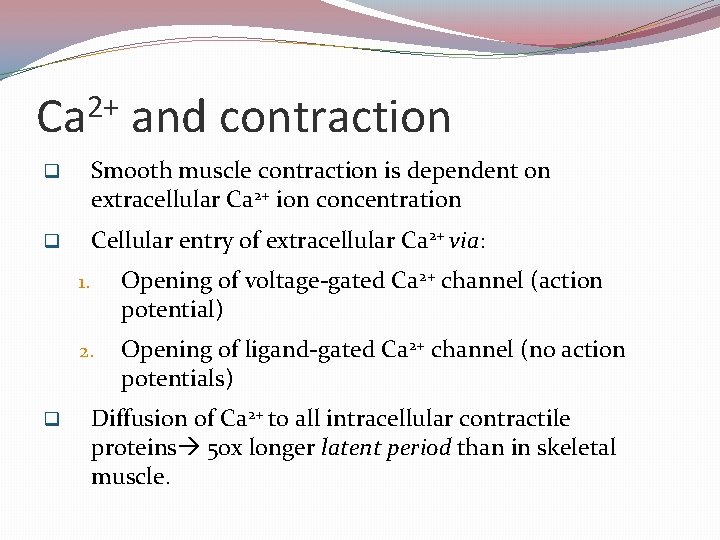 2+ Ca and contraction q Smooth muscle contraction is dependent on extracellular Ca 2+