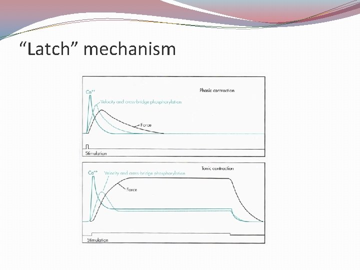 “Latch” mechanism 