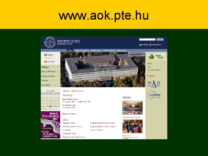 www. aok. pte. hu 