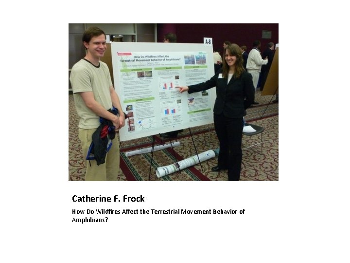 Catherine F. Frock How Do Wildfires Affect the Terrestrial Movement Behavior of Amphibians? 