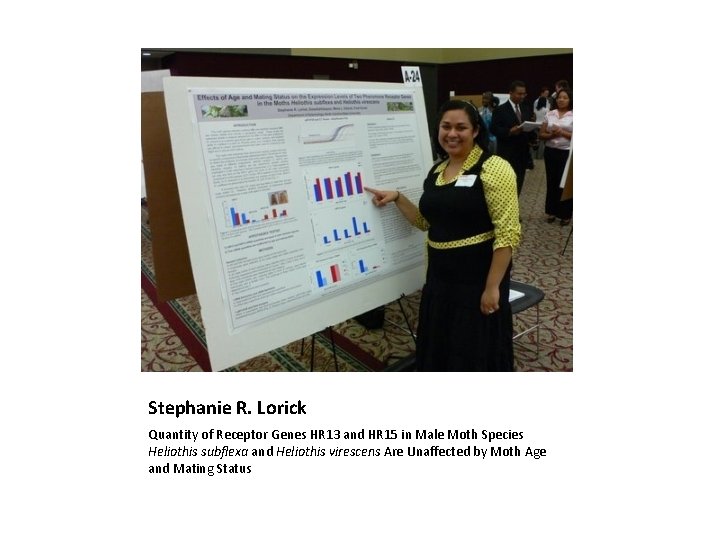 Stephanie R. Lorick Quantity of Receptor Genes HR 13 and HR 15 in Male