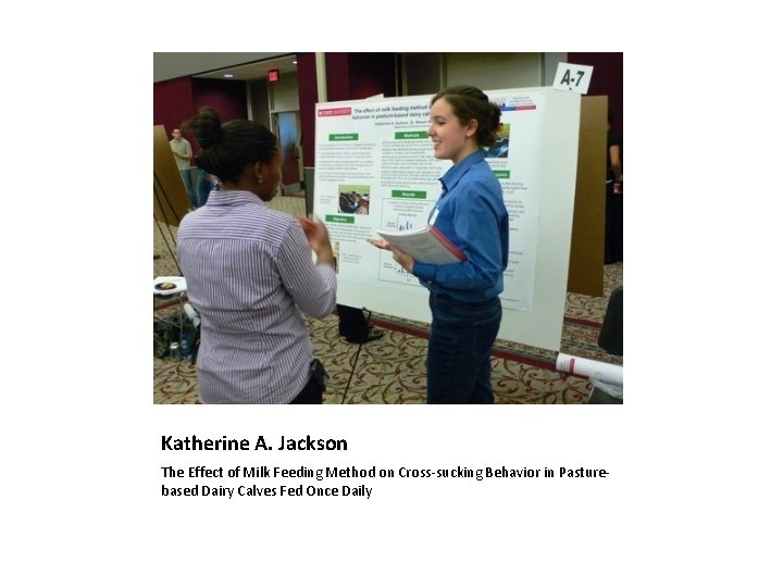Katherine A. Jackson The Effect of Milk Feeding Method on Cross-sucking Behavior in Pasturebased