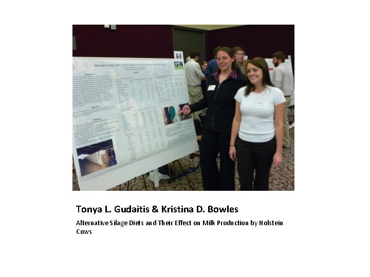 Tonya L. Gudaitis & Kristina D. Bowles Alternative Silage Diets and Their Effect on