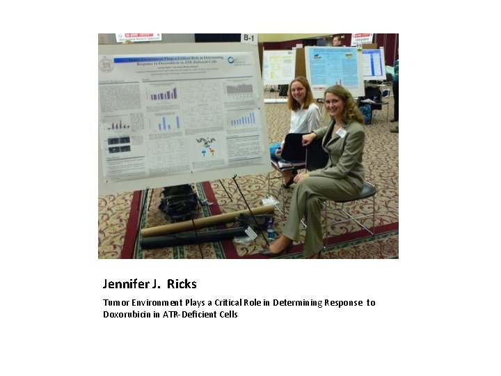 Jennifer J. Ricks Tumor Environment Plays a Critical Role in Determining Response to Doxorubicin