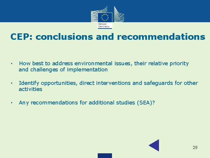 CEP: conclusions and recommendations • How best to address environmental issues, their relative priority
