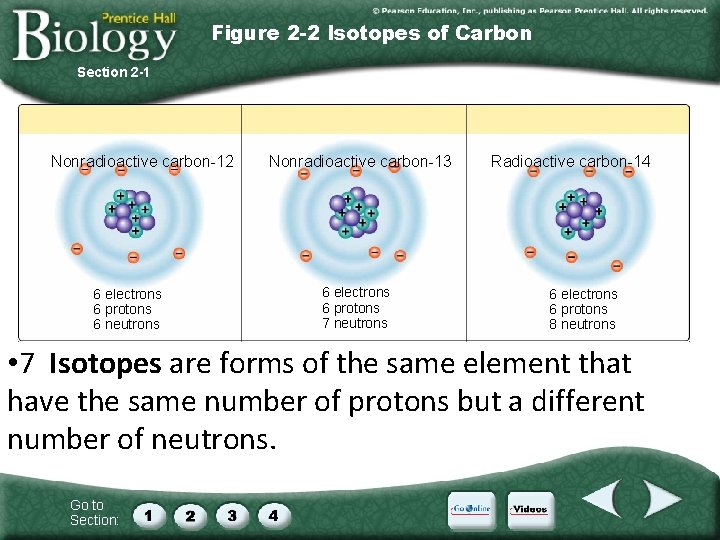 Figure 2 -2 Isotopes of Carbon Section 2 -1 Nonradioactive carbon-12 6 electrons 6