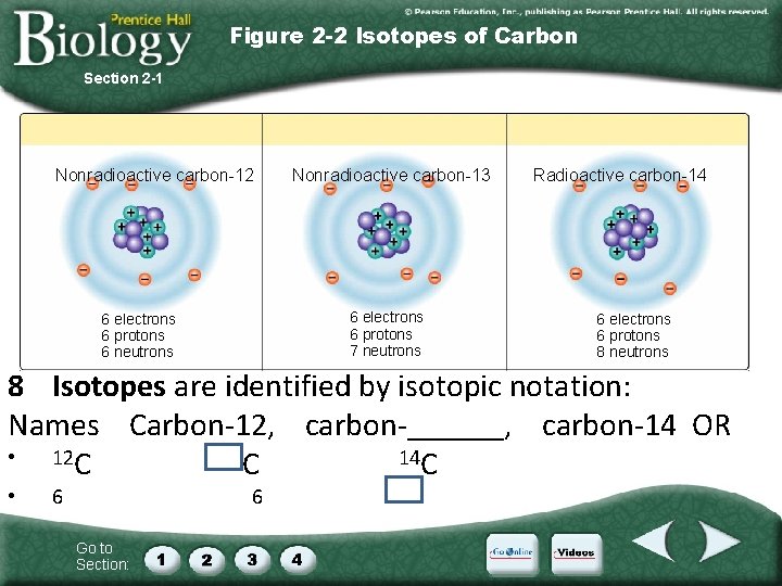 Figure 2 -2 Isotopes of Carbon Section 2 -1 Nonradioactive carbon-12 Nonradioactive carbon-13 6