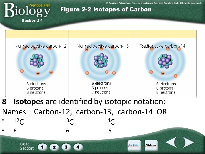 Figure 2 -2 Isotopes of Carbon Section 2 -1 Nonradioactive carbon-12 Nonradioactive carbon-13 6