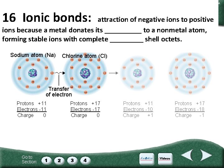 Figure 2 -3 Ionic Bonding 16 Ionic bonds: attraction of negative ions to positive
