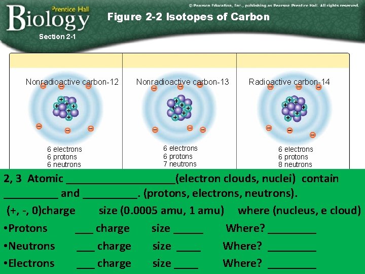 Figure 2 -2 Isotopes of Carbon Section 2 -1 Nonradioactive carbon-12 6 electrons 6