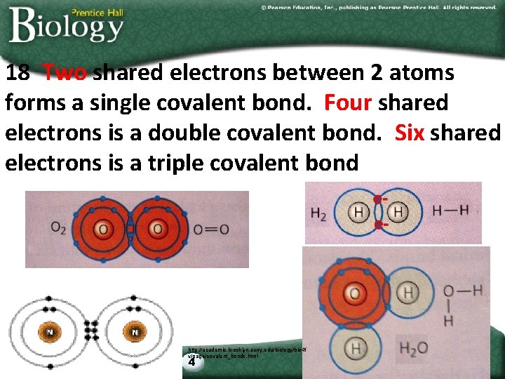 18 Two shared electrons between 2 atoms forms a single covalent bond. Four shared