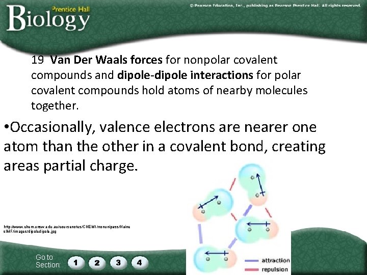 19 Van Der Waals forces for nonpolar covalent compounds and dipole-dipole interactions for polar