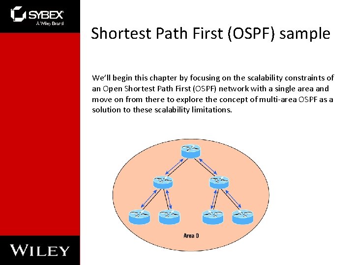 Shortest Path First (OSPF) sample We’ll begin this chapter by focusing on the scalability