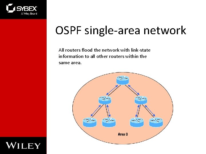 OSPF single-area network All routers flood the network with link-state information to all other