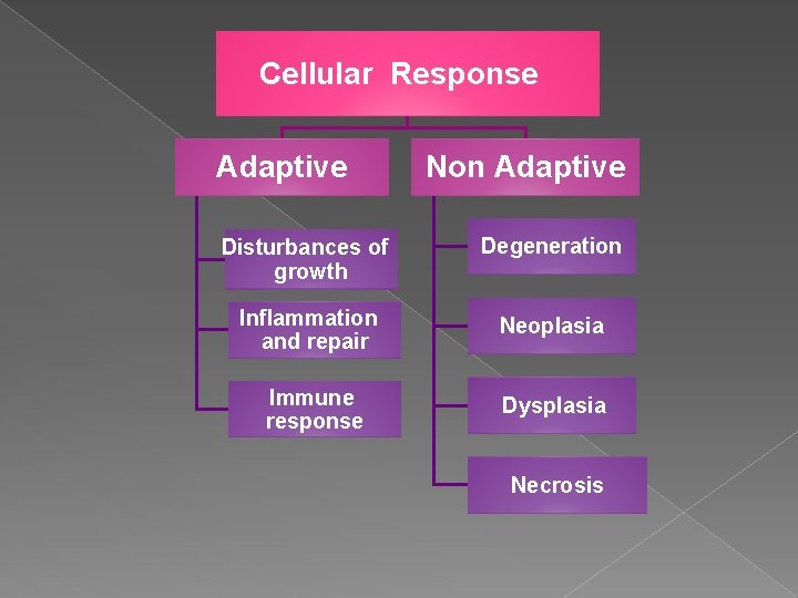 Cellular Response Adaptive Non Adaptive Disturbances of growth Degeneration Inflammation and repair Neoplasia Immune