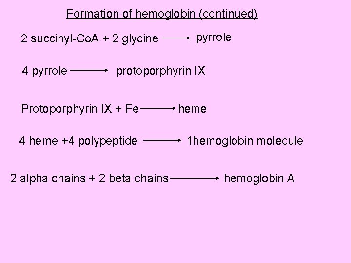 Formation of hemoglobin (continued) 2 succinyl-Co. A + 2 glycine 4 pyrrole protoporphyrin IX