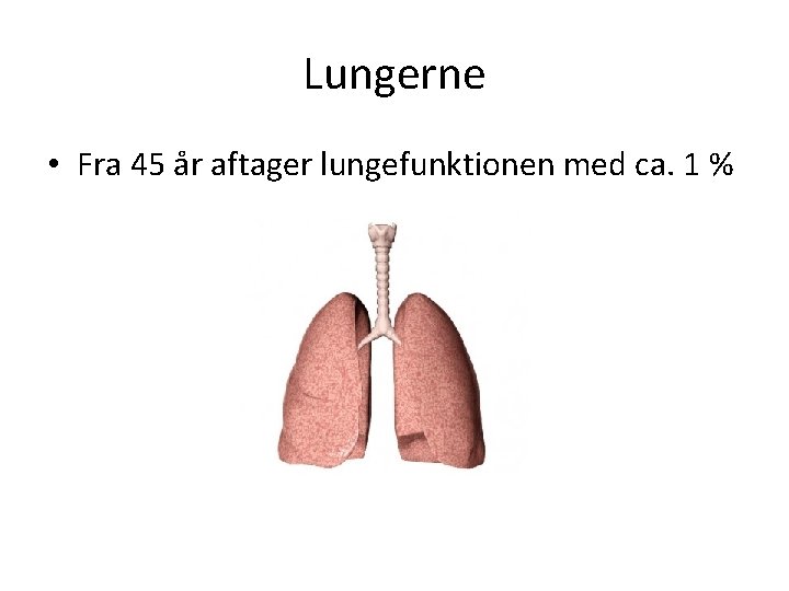 Lungerne • Fra 45 år aftager lungefunktionen med ca. 1 % 