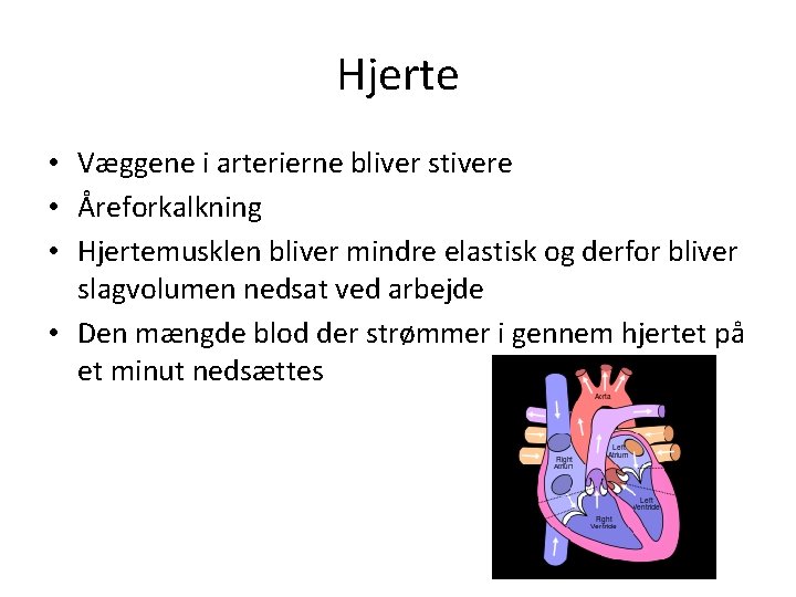 Hjerte • Væggene i arterierne bliver stivere • Åreforkalkning • Hjertemusklen bliver mindre elastisk