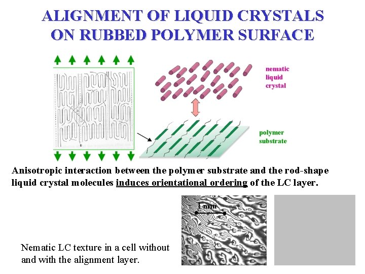 ALIGNMENT OF LIQUID CRYSTALS ON RUBBED POLYMER SURFACE Anisotropic interaction between the polymer substrate