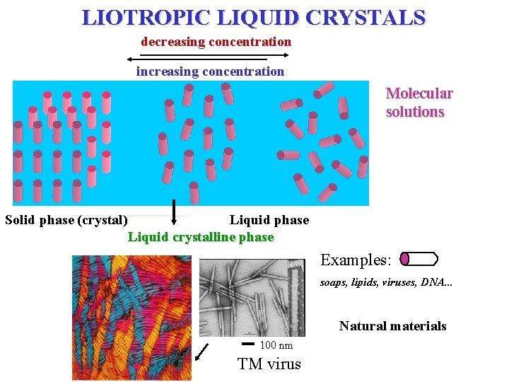 LIOTROPIC LIQUID CRYSTALS decreasing concentration increasing concentration Molecular solutions Solid phase (crystal) Liquid phase