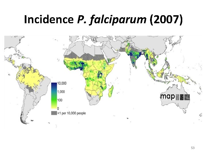 Incidence P. falciparum (2007) 53 