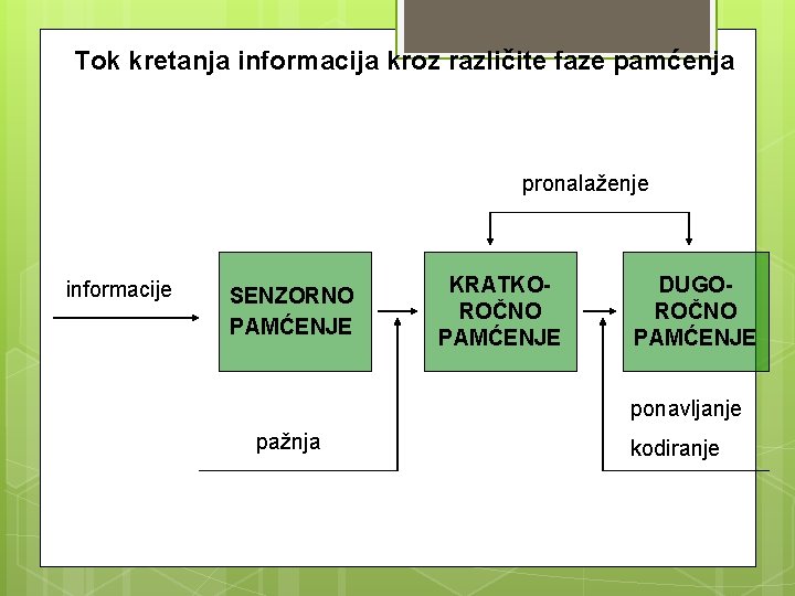 Tok kretanja informacija kroz različite faze pamćenja pronalaženje informacije SENZORNO PAMĆENJE KRATKOROČNO PAMĆENJE DUGOROČNO