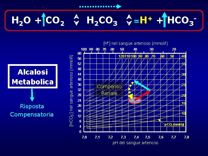 H 2 O + CO 2 + H = H 2 CO 3 + H 2 O + CO 2 + H = H 2 CO 3 +