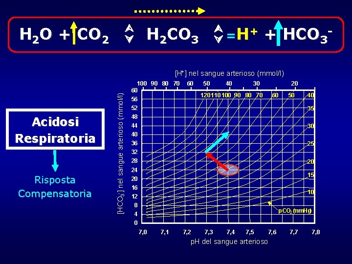 H 2 O + CO 2 + H = H 2 CO 3 + H 2 O + CO 2 + H = H 2 CO 3 +