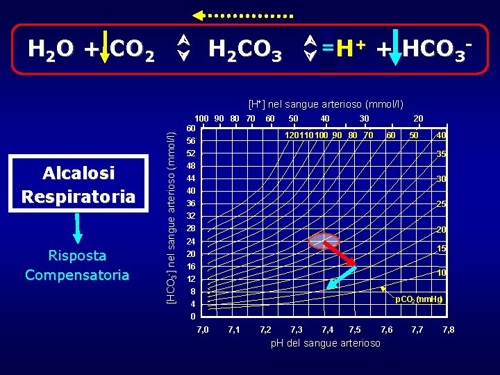 H 2 CO 3 = H 2 O + CO 2 H+ + H 2 CO 3 = H 2 O + CO 2 H+ +