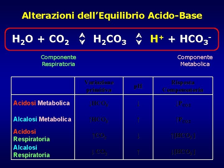 Alterazioni dell’Equilibrio Acido-Base H 2 O + CO 2 H 2 CO 3 Componente Alterazioni dell’Equilibrio Acido-Base H 2 O + CO 2 H 2 CO 3 Componente