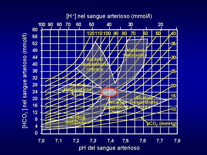 [H+] nel sangue arterioso (mmol/l) [HCO 3 -] nel sangue arterioso (mmol/l) 100 90